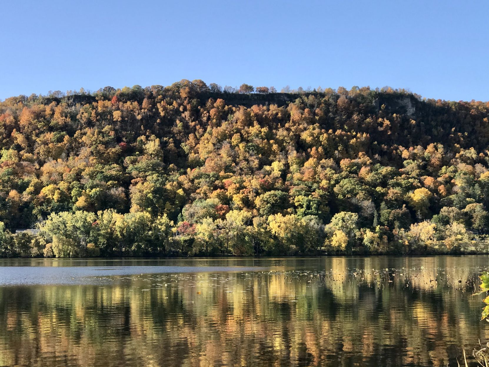 Winona
